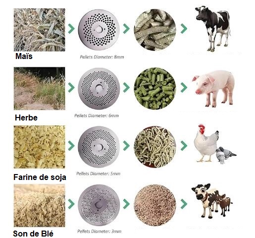 SOCO-BG80 Presse à Pellets animaux